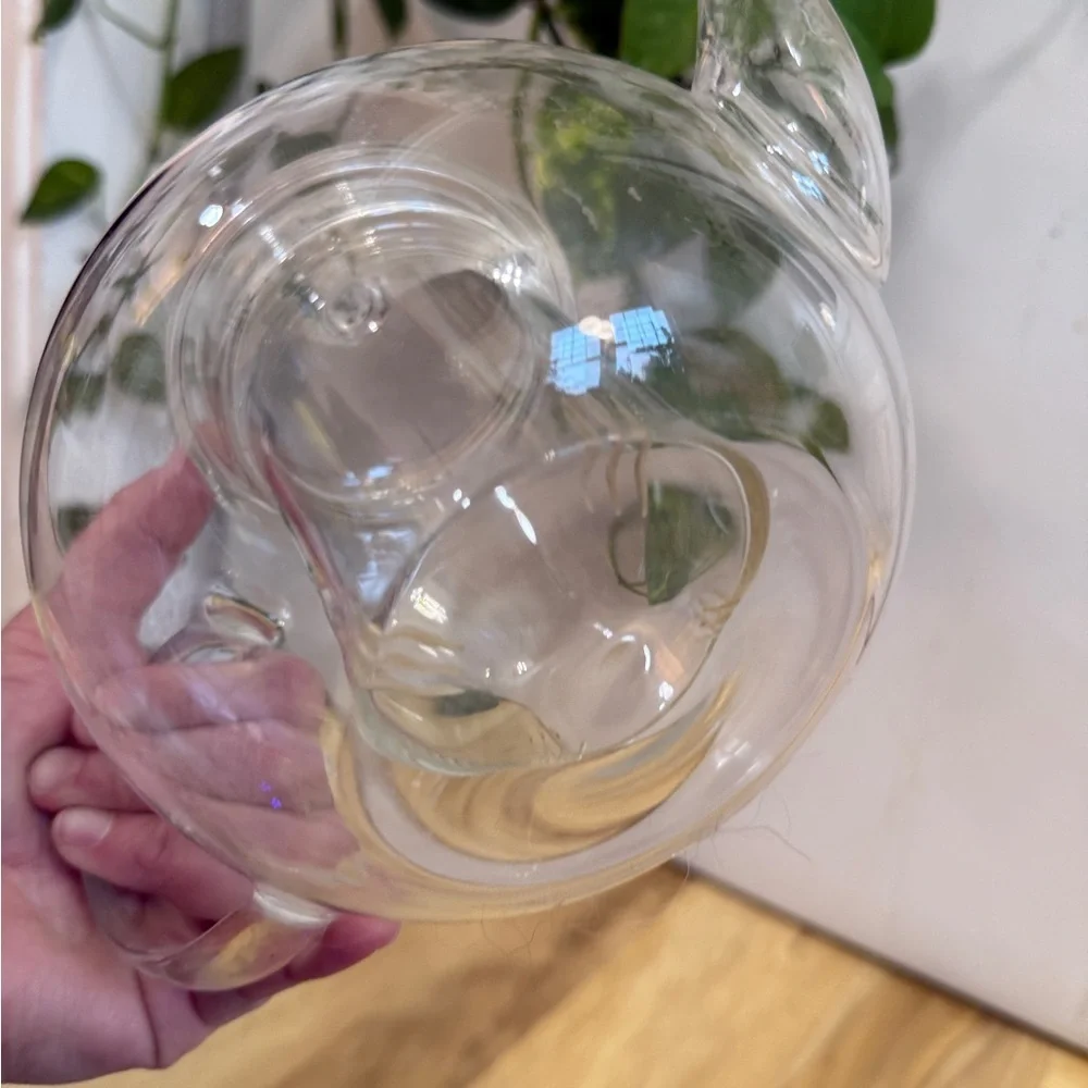 Elegant Clear Glass Teapot with Lid